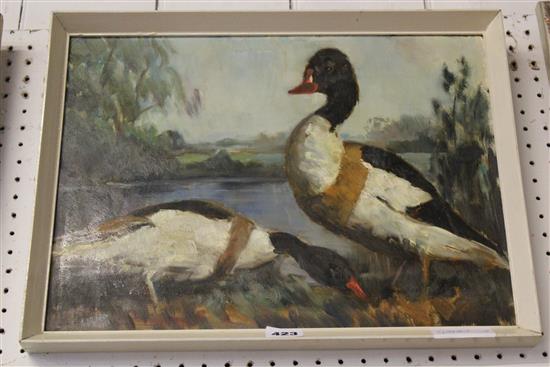 Oil on board of ducks signed G Roberts